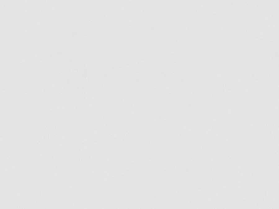 金丝绒瓷砖400×800mm F84KR582