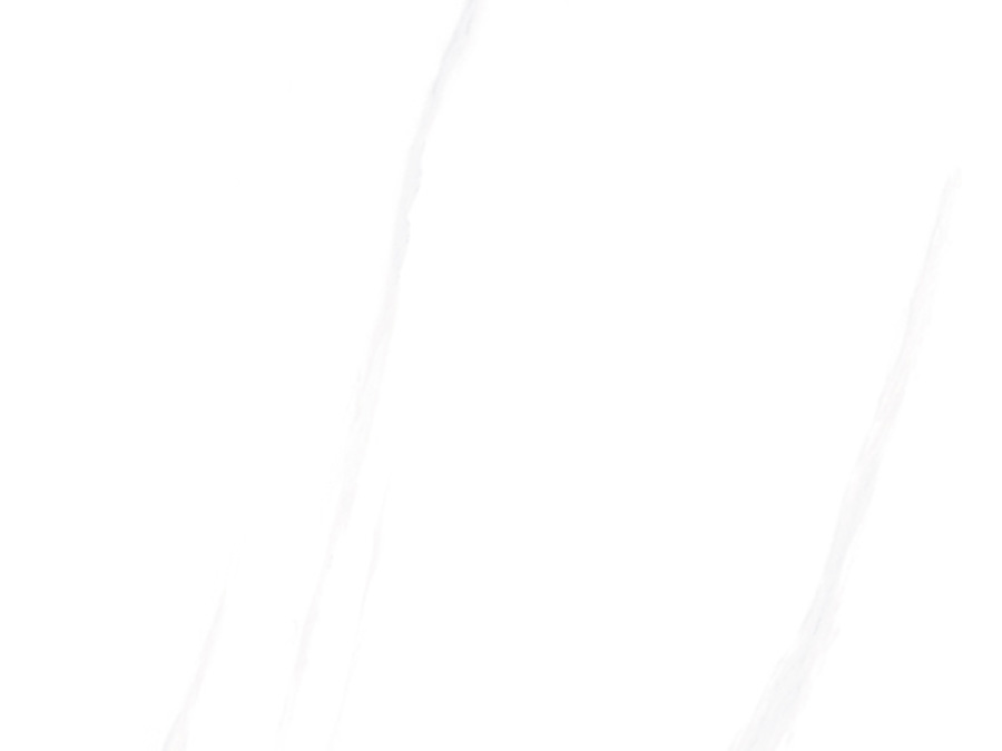 时尚大理石瓷砖600×1200mm F12P017